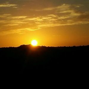 Meet your Posher, Tom